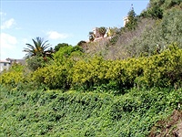Aree verdi Barriera-Canalicchio.jpg