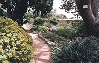 Argotti Botanical Garden (Floriana - Malta)