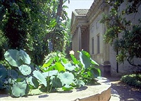 L'Orto botanico di Catania
