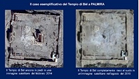 Palmira 1.jpg